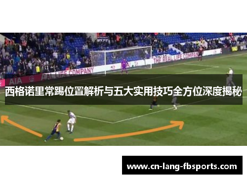 西格诺里常踢位置解析与五大实用技巧全方位深度揭秘