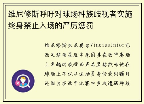 维尼修斯呼吁对球场种族歧视者实施终身禁止入场的严厉惩罚 维尼修斯呼吁对球场种族歧视者实施终身禁止入场的严厉惩罚