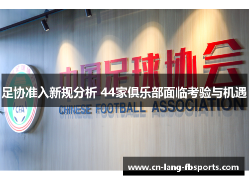 足协准入新规分析 44家俱乐部面临考验与机遇